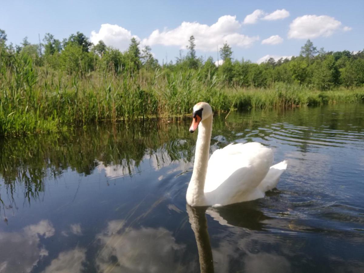 Apartamenty Na Szlaku Lötzen Exterior foto